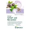 SIDROGA Tisane pour le sommeil et les nerfs, sachets filtres, 20X2.0 g