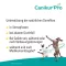 CANIKUR Pro Paste vet, 15 ml