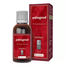 ANTHOGENOL Masquelier OPC Gouttes, 50 ml