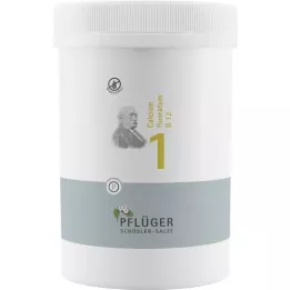 BIOCHEMIE Pflüger 1 Calcium fluoratum D 12 comprimés, 4000 comprimés