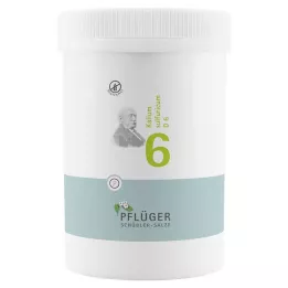BIOCHEMIE Pflüger 6 Kalium sulfuricum D 6 comprimés, 4000 comprimés