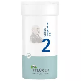 BIOCHEMIE Pflüger 2 Calcium phosphoricum D 6, poudre, 100 g