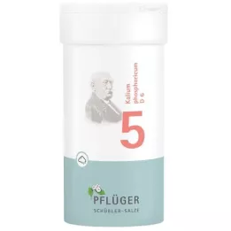 BIOCHEMIE Pflüger 5 Kalium phosphoricum D 6 poudre, 100 g