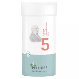 BIOCHEMIE Pflüger 5 Kalium phosphoricum D 6 poudre, 100 g