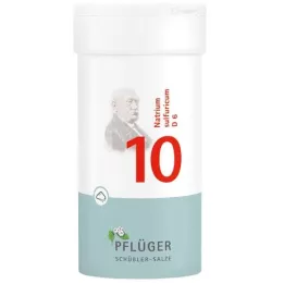 BIOCHEMIE Pflüger 10 Natrium sulfuricum D 6 poudre, 100 g