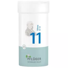 BIOCHEMIE Pflüger 11 Silicea D 12 poudre, 100 g