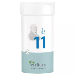 BIOCHEMIE Pflüger 11 Silicea D 12 poudre, 100 g