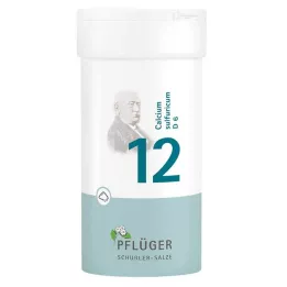 BIOCHEMIE Pflüger 12 Calcium sulfuricum D 6 poudre, 100 g