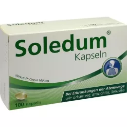 SOLEDUM Gélules gastro-résistantes de 100 mg, 100 gélules