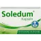 SOLEDUM Gélules gastro-résistantes de 100 mg, 100 gélules