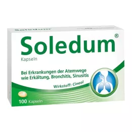 SOLEDUM Gélules gastro-résistantes de 100 mg, 100 gélules
