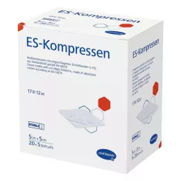 ES-KOMPRESSEN Stérile 5x5 cm, paquet de 12, 20X5 pces