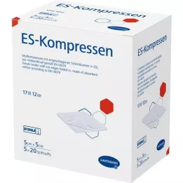 ES-KOMPRESSEN Stérile 5x5 cm, paquet de 12, 5X20 pces
