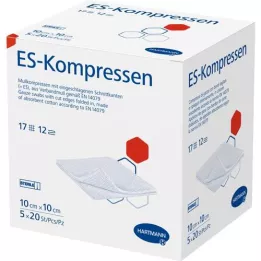 ES-KOMPRESSEN Stérile 10x10 cm, paquet de 12, 5X20 pces