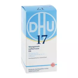 [17 comprimés de Manganum sulfuricum D 6, 420 pc