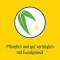PINIMENTHOL Bain contre le rhume pour enfant à partir de 2 ans, Eucalyptus, 30 ml