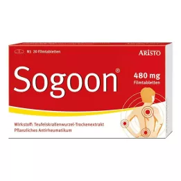 SOGOON 480 mg Comprimés pelliculés, 20 pces