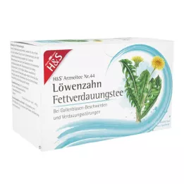 H&S Pissenlit sachet filtre, 20X2.0 g