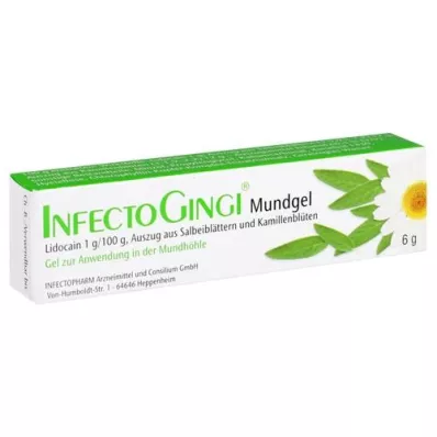 INFECTOGINGI Gel buccal, 6 g