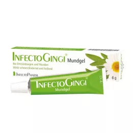 INFECTOGINGI Gel buccal, 6 g