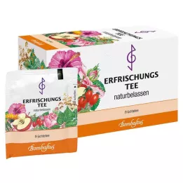 ERFRISCHUNGSTEE Sachets filtres, 20X3 g