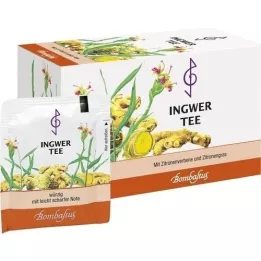 INGWER TEE Sachets filtres, 20X2 g