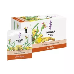 INGWER TEE Sachets filtres, 20X2 g