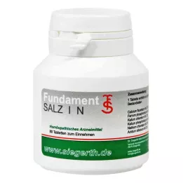 FUNDAMENT-Sel I N comprimés, 4X80 pc