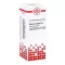 Asterias Rubens D6 Dilution (20 ml)