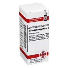 CALADIUM seguinum D 6 globules, 10 g