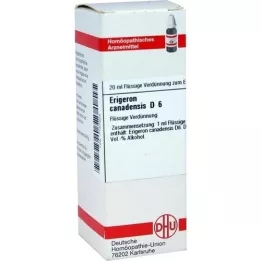 ERIGERON CANADENSIS D 6 Dilution, 20 ml