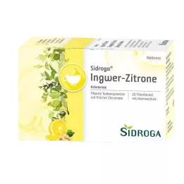 SIDROGA Thé Wellness gingembre-citron, sachets-filtres, 20X2.0 g
