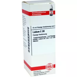 LEDUM C 30 Dilution, 20 ml