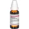 MAGNESIUM CARBONICUM D 10 Dilution, 20 ml