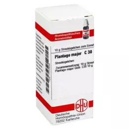 PLANTAGO MAJOR C 30 globules, 10 g