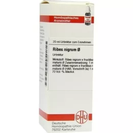 RIBES NIGRUM Teinture mère, 20 ml