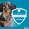 KILTIX Collier pour petit chien, 1 pc