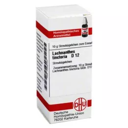 LACHNANTHES tinctoria D 12 globules, 10 g