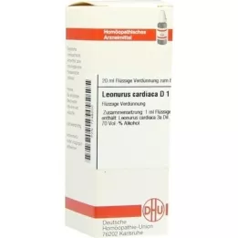 LEONURUS CARDIACA D 1 Dilution, 20 ml