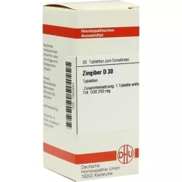 ZINGIBER D 30 comprimés, 80 pc