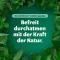 Pommade Bronchoforton®, 100 g