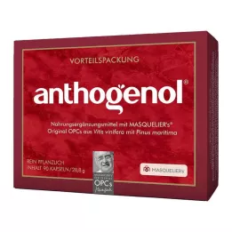 OPC ORIGINAL Gélules Masqueliers Anthogenol, 90 gélules