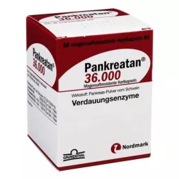 PANKREATAN 36.000 gélules gastro-résistantes, 50 gélules