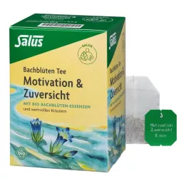 BACHBLÜTEN TEE Motivation &amp; Confiance Bio Salus, 15 pces