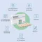Capsules Sitobact, 30 pc