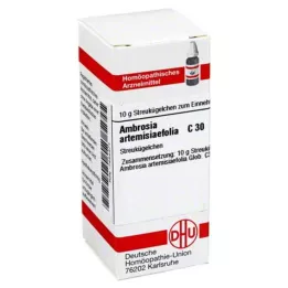 AMBROSIA ARTEMISIAEFOLIA C 30 globules, 10 g