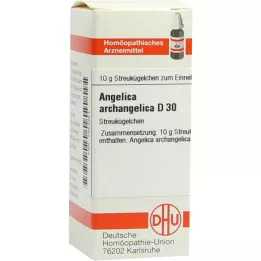 ANGELICA ARCHANGELICA D 30 globules, 10 g