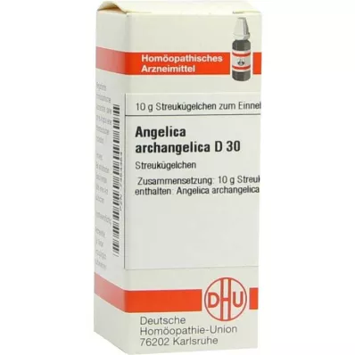 ANGELICA ARCHANGELICA D 30 globules, 10 g
