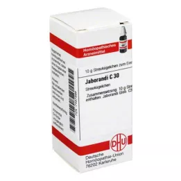JABORANDI C 30 globules, 10 g
