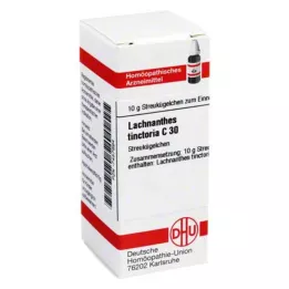 LACHNANTHES tinctoria C 30 globules, 10 g